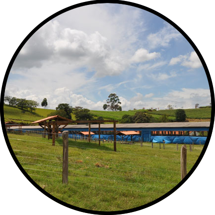 Fazenda São Miguel - Águas de Lindóia